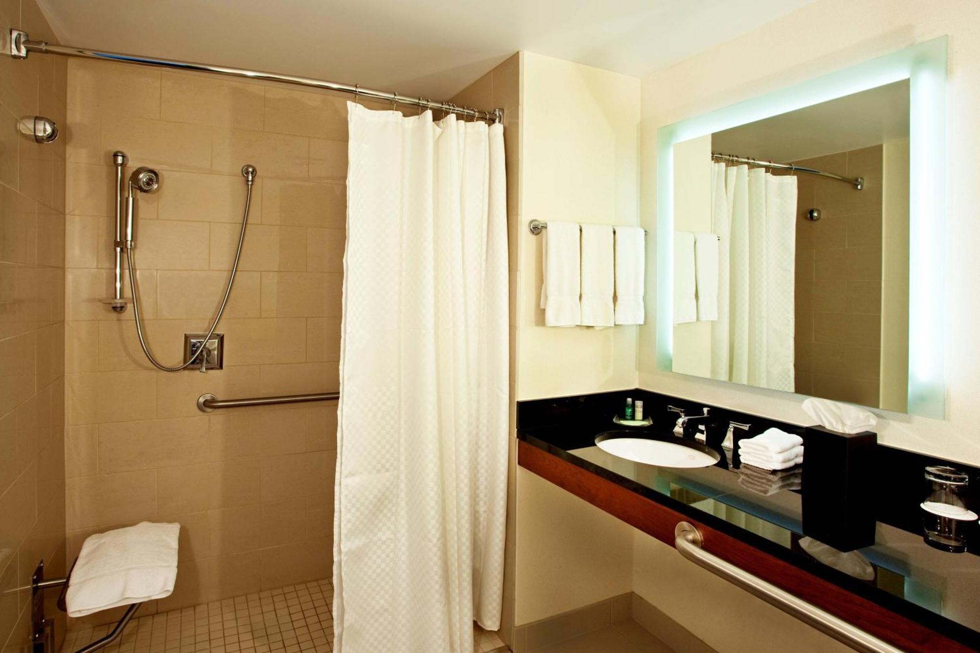 Traditional, Guest room, 1 King