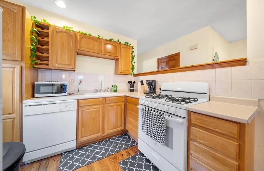 Comfy 1Br 1Bh Apt Near Boston Med-1