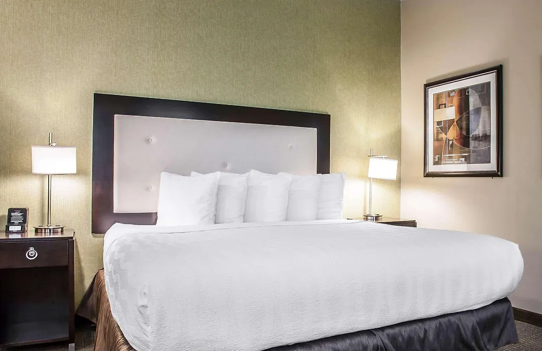 Envision Hotel Boston-Longwood, Ascend Hotel Collection-1