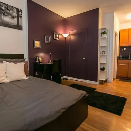 Downtown Studio Apt, Near Tufts Med, Bmc, Mgh-3