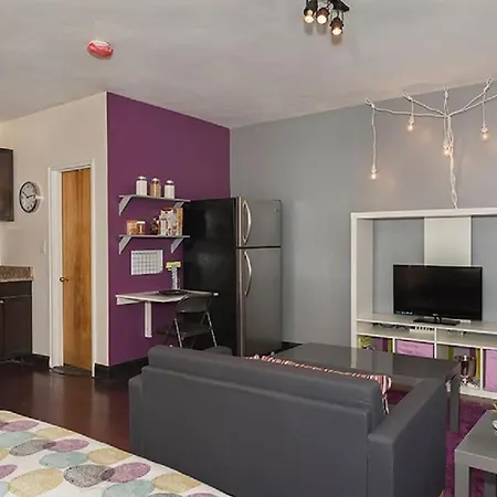 Downtown Studio Apt, Lots Of Natural Light-2