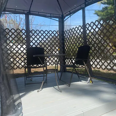 Comfy And Chic Boston Apartment! Free Parking-3