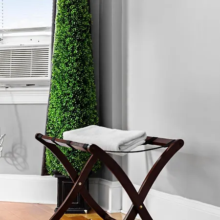 Spacious Apartments Near Ashmont-2