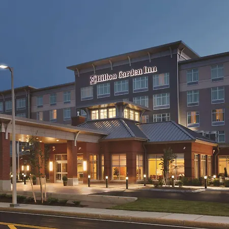 Hilton Garden Inn Boston Logan Airport-2